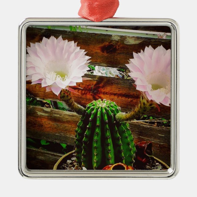 Bensande Cactus #succulent Julgransprydnad Metall (Framsidan)