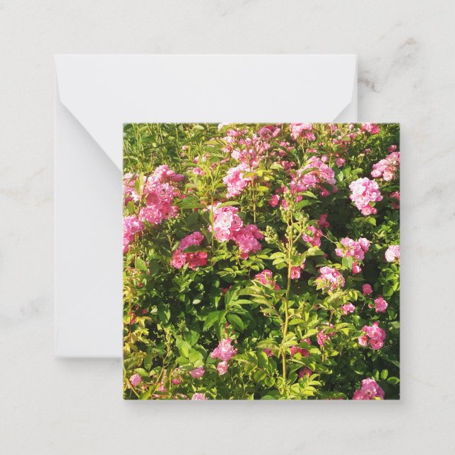 Bensar Rosa ros Anteckningskort (Framsida)
