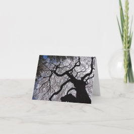 Bensar Willow Note-kort Kort
