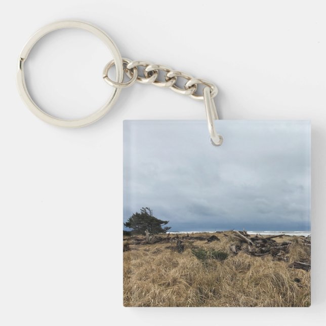 Benson Beach, Cape Disseende, Washington (Framsidan)