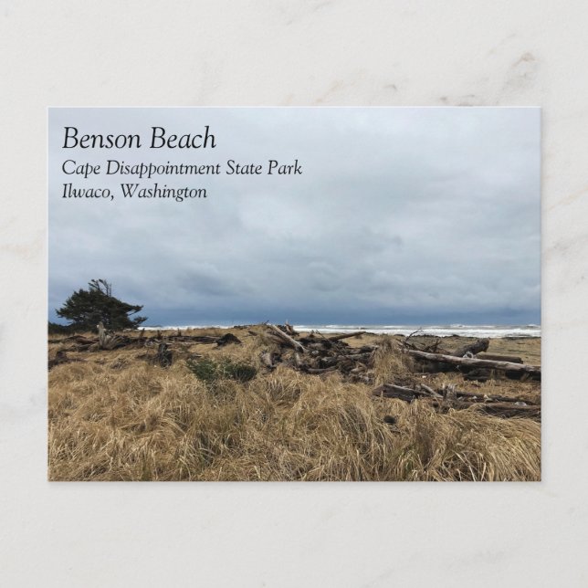 Benson Beach, Kapbesvikelsen, WA Vykort (Framsida)