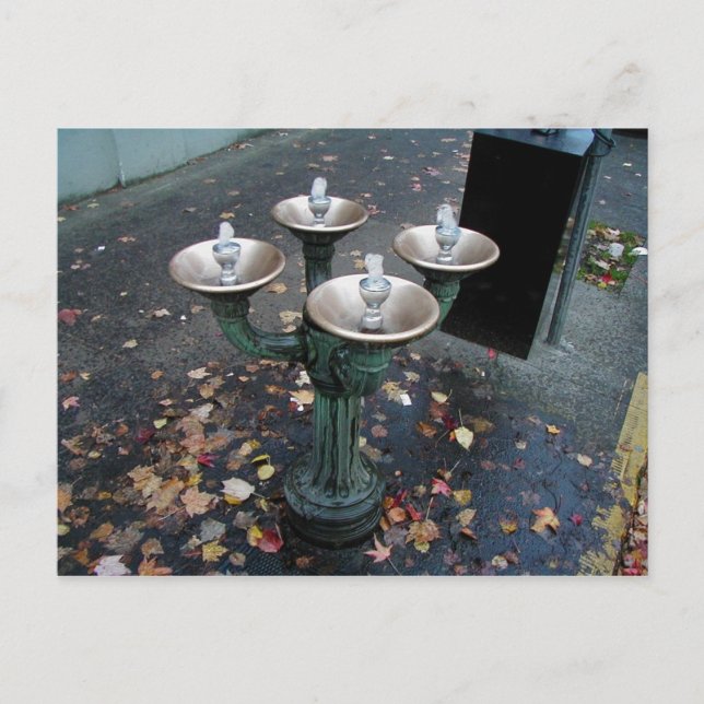 Benson Bubbler Portland Oregon vykort (Framsida)