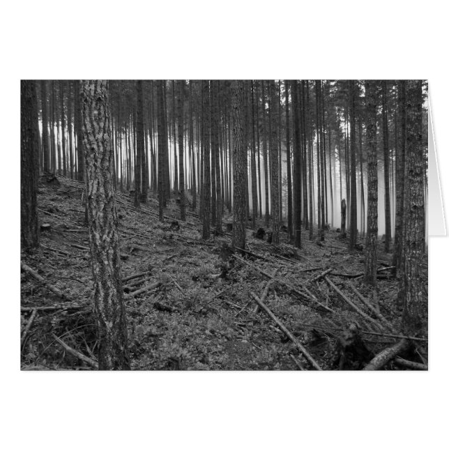 Benson Meadows Hälsningskort (Framsidan Horizontal)