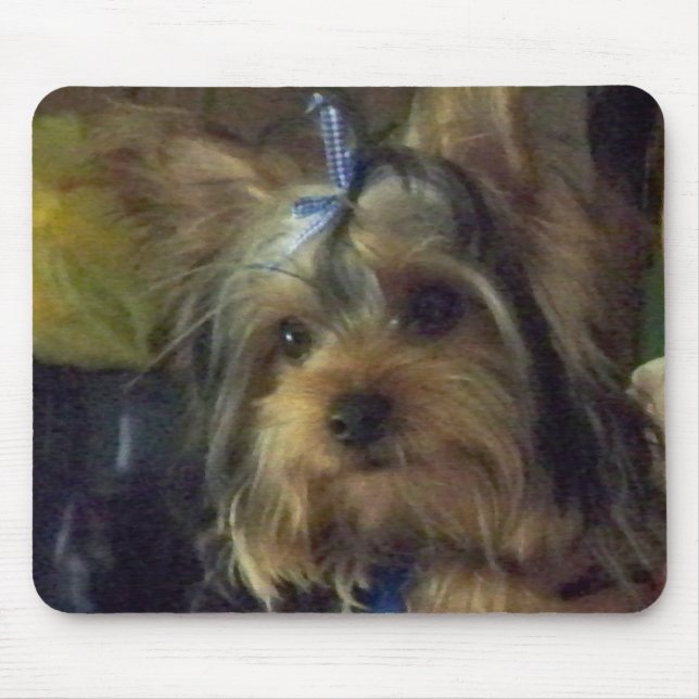 BENSON MUSMATTA (Framsidan)