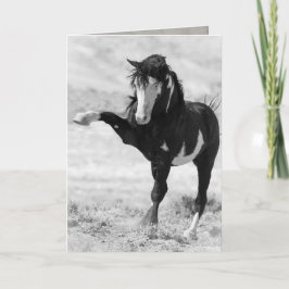 Benson Strejkas Out Vild Horse Greeting Card Kort