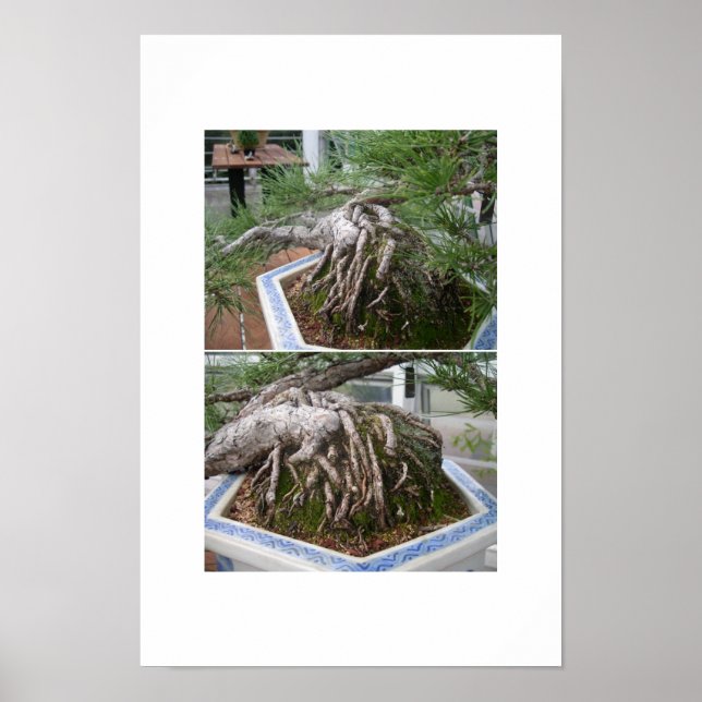 bent bonsai poster (Framsidan)