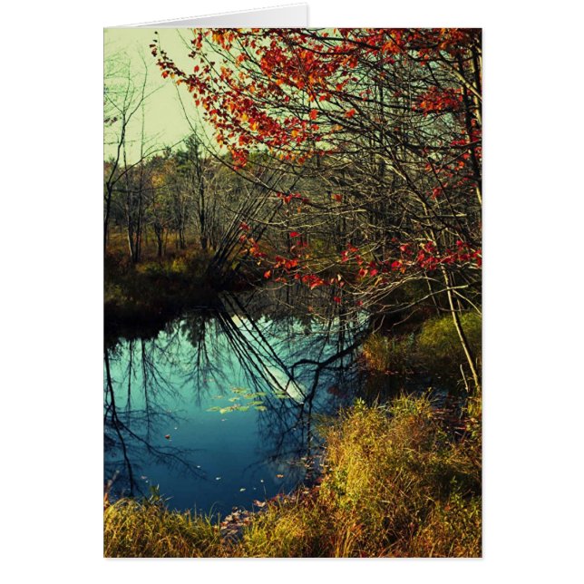 Bent Träd Hälsningskort (Framsidan)