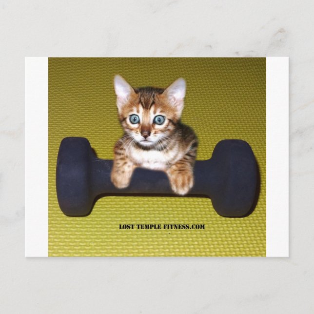 Bental Kitten med Dumbbell-Gult Vykort (Framsida)