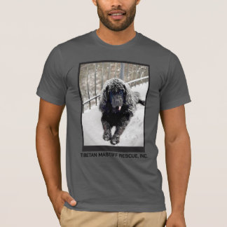 Bentley Grå T-shirt