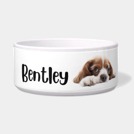 Bentley - personlig skål för hundar och katter