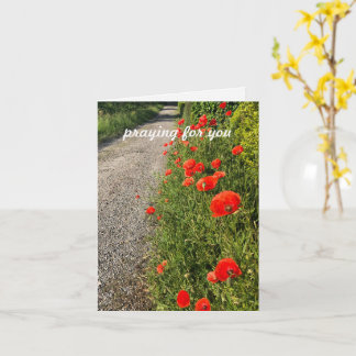 Ber för dig, anpassad text original natur foto kort