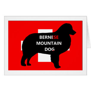 ber mt dog namn silo switzerland flag.png OBS kort