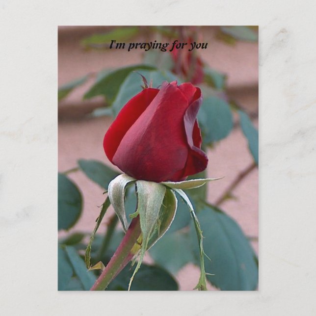 ber om för dig vykort (Framsida)