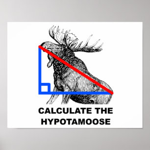 Beräkna Hypotamoose roliga affisch