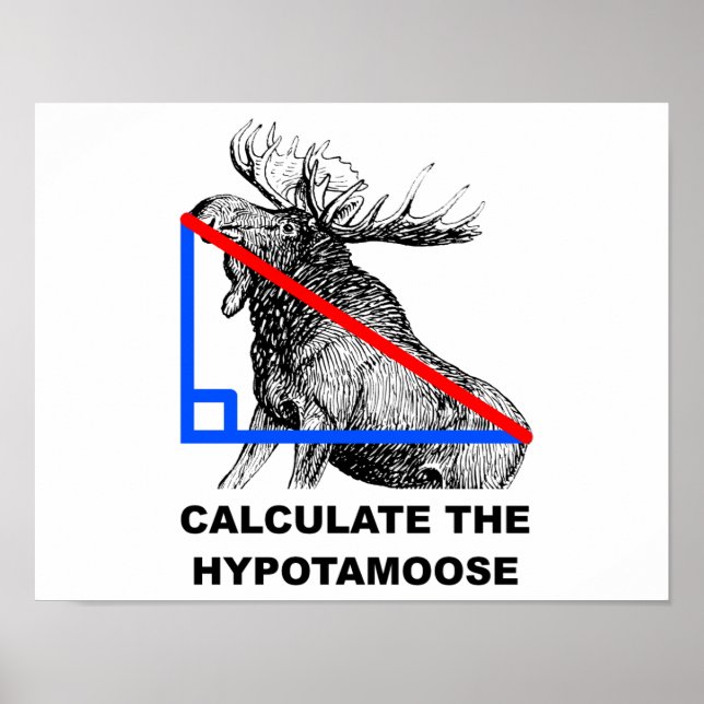Beräkna Hypotamoose roliga affisch (Framsidan)