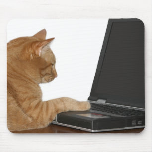 beräknande katt musmatta
