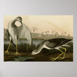 Berätta-saga Godwit Poster
