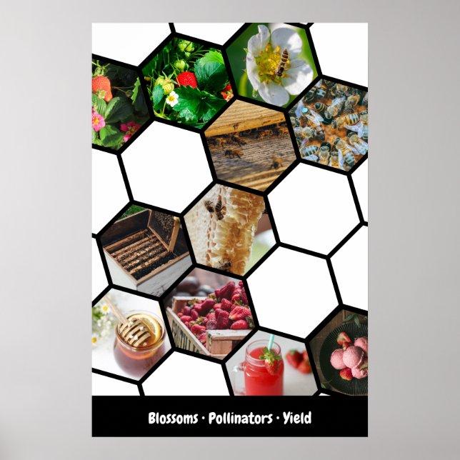 Berättelse Collage Jordgubbar, Pollinerare & Skörd Poster (Framsidan)