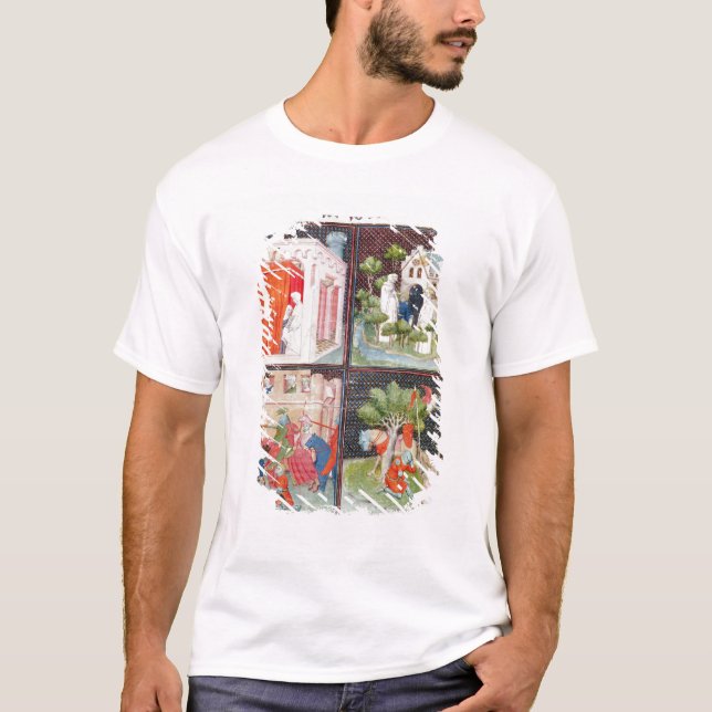 Berättelsen av Lancelot T-shirt (Framsida)