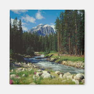 Berg Banff nationalpark Magnet