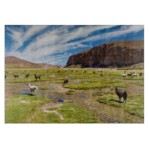 Berg Bolivia Andes