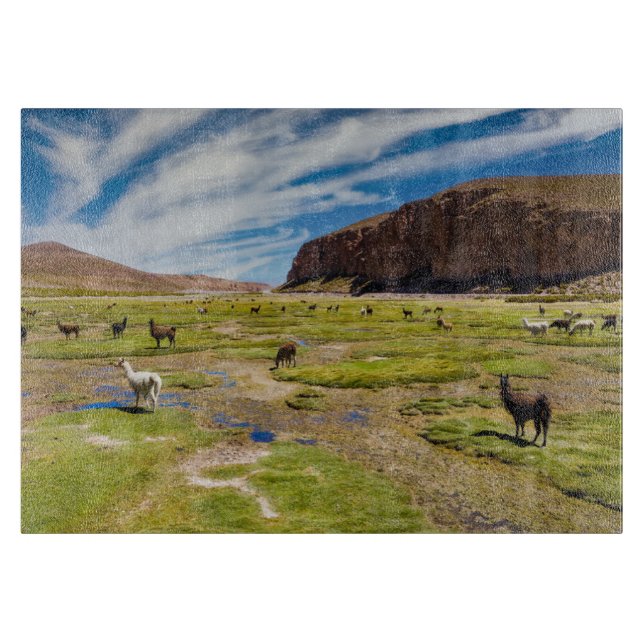 Berg | Bolivia Andes (Framsidan)