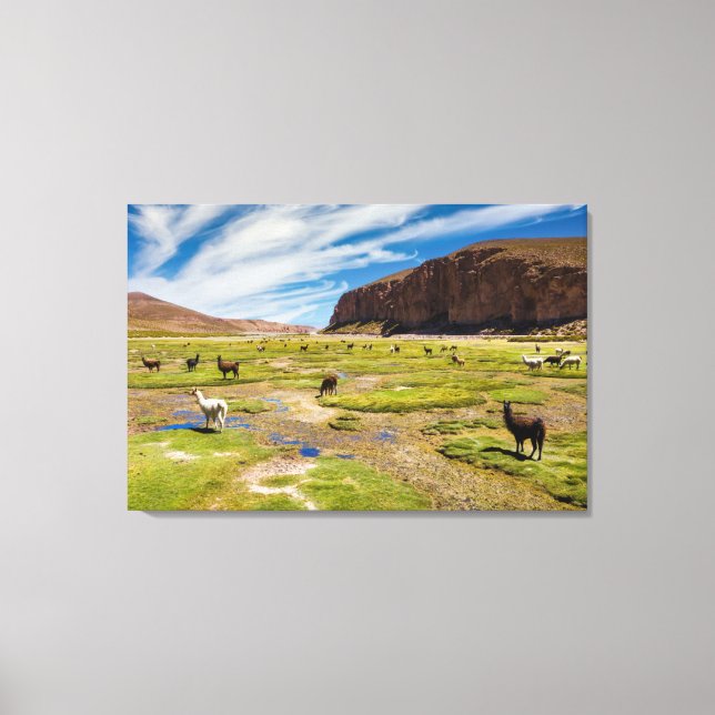 Berg | Bolivia Andes Canvastryck (Framsida)