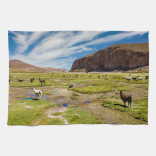 Berg Bolivia Andes Kökshandduk