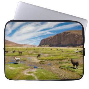 Berg Bolivia Andes Laptop Fodral