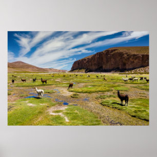 Berg   Bolivia Andes Poster