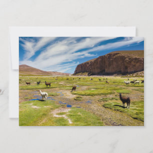 Berg Bolivia Andes Tack Kort
