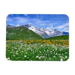 Berg De schweiziska Alpernorna Valley Vår Magnet