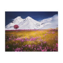 BERG FÄLT BLOMMOR LANDSKAP POSTCROSSING