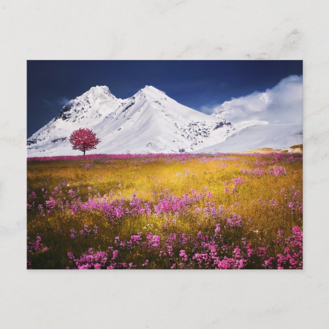 BERG FÄLT BLOMMOR LANDSKAP POSTCROSSING VYKORT (Framsida)