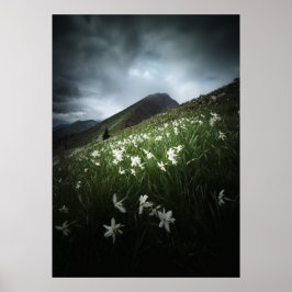 Berg Golica och Narcissblommor Poster