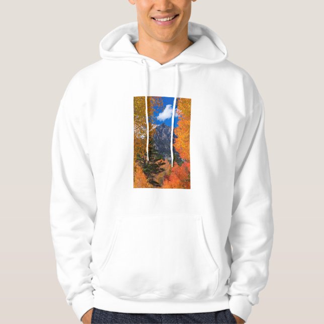 Berg inramat i höstfärger, CA Sweatshirt (Framsida)