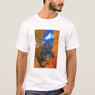 Berg inramat i höstfärger, CA Tee Shirt