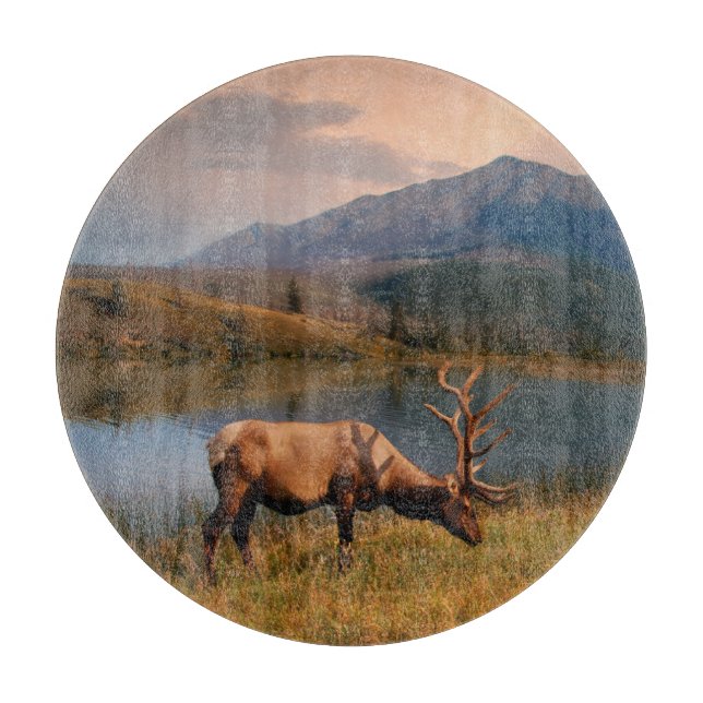 Berg | Jacques Mountain Range Alberta Kanada (Framsidan)