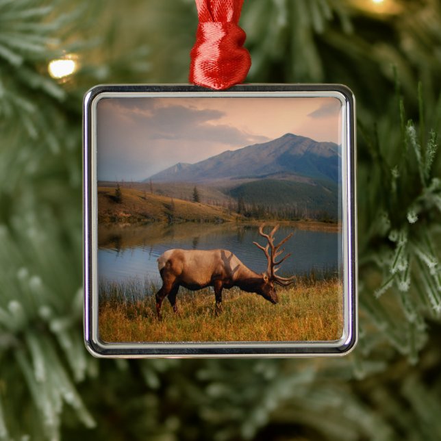 Berg | Jacques Mountain Range Alberta Kanada Julgransprydnad Metall (Träd)