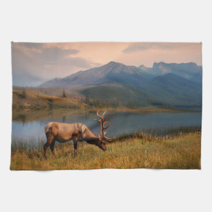 Berg Jacques Mountain Range Alberta Kanada Kökshandduk