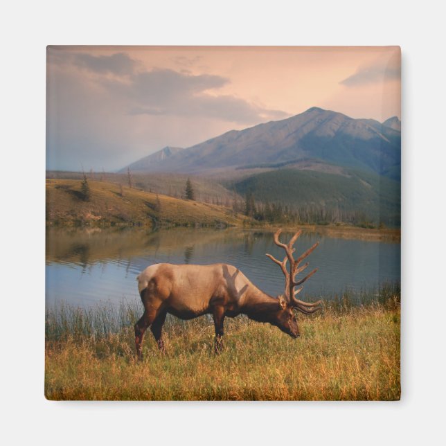 Berg | Jacques Mountain Range Alberta Kanada Magnet (Framsidan)