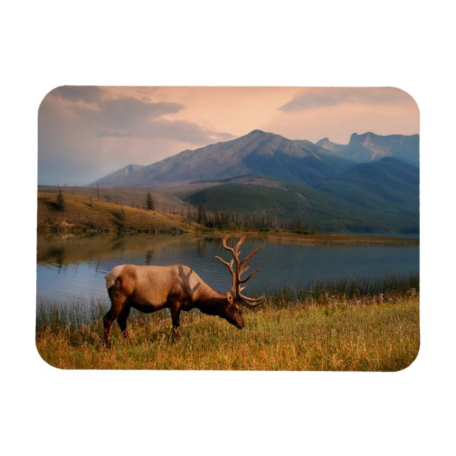 Berg | Jacques Mountain Range Alberta Kanada Magnet (Horisontell)