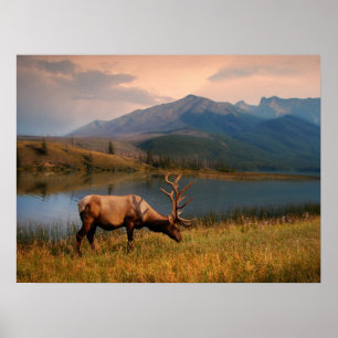 Berg Jacques Mountain Range Alberta Kanada Poster
