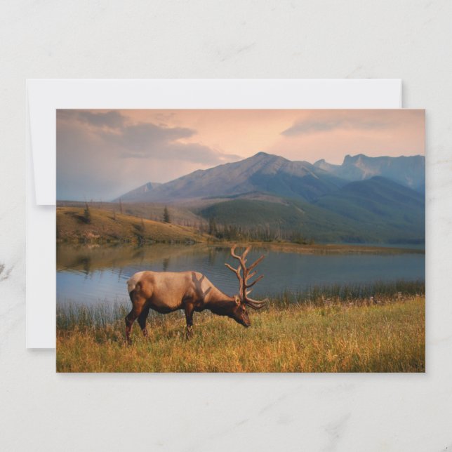 Berg | Jacques Mountain Range Alberta Kanada Tack Kort (Framsida)