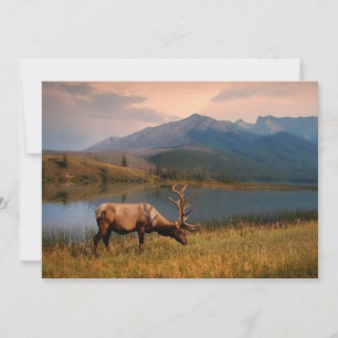 Berg Jacques Mountain Range Alberta Kanada Tack Kort