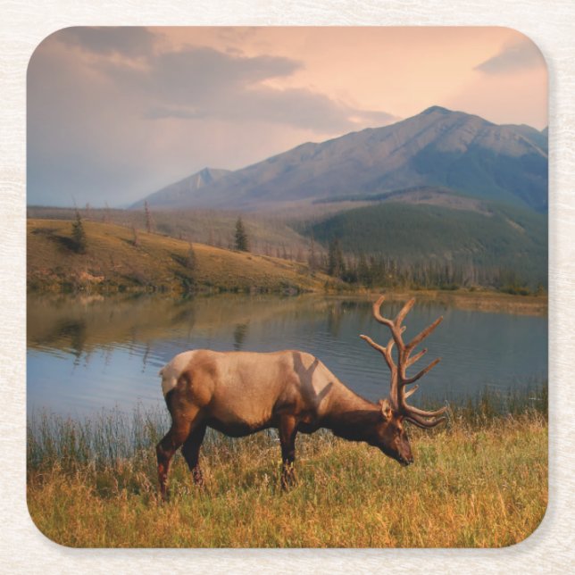 Berg | Jacques Mountain Range Alberta Kanada Underlägg Papper Kvadrat (Framsidan)