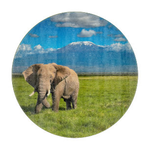 Berg Kilimanjaro Tanzania, Afrika