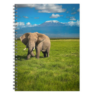 Berg Kilimanjaro Tanzania, Afrika Anteckningsbok