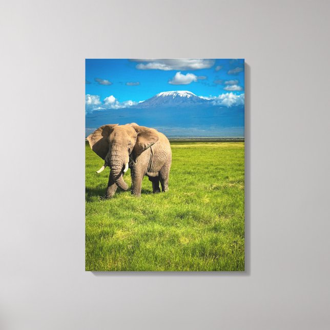 Berg | Kilimanjaro Tanzania, Afrika Canvastryck (Framsida)