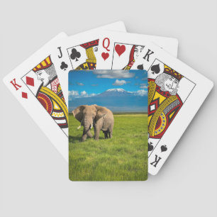 Berg Kilimanjaro Tanzania, Afrika Casinokort